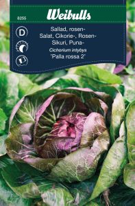 Weibulls Salat, rosen- palla Rossa