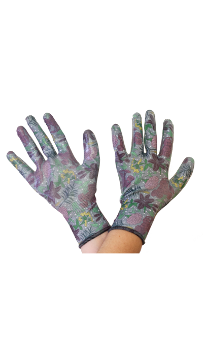 Renshandske Medium
