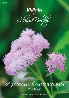 Weibulls Ageratum