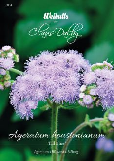 Weibulls Ageratum