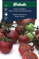 Weibulls Tomat black cherry Black Cherry