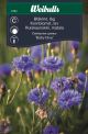 Weibulls Kornblomst lav baby blue Baby blue