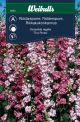 Weibulls Ridderspore The Pinks