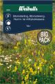Weibulls Blomsterengblanding 25 gr Storportion