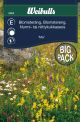 Weibulls Blomsterengblanding 25 gr Storportion