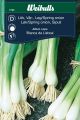 Weibulls Løg spring onion White Lisbon