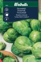 Weibulls Kål rosenkål Long Island Long island