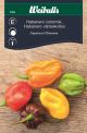 Weibulls Peber Habanero colourmix Habanero colormix