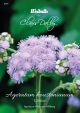 Weibulls Ageratum