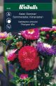Weibulls Asters, sommer- 'Pompon mix'