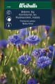 Weibulls Kornblomst lav baby blue Baby blue