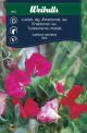 Weibulls Ærteblomst lav mix Mix
