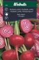 Weibulls Rødbede chioggia Chioggia