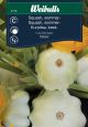 Weibulls Squash, sommer- 'Disco'