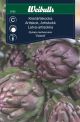 Weibulls Weibulls Artiskok violett Violet de Provence