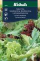 Weibulls Salat baby leaf mix Baby Leaf