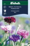 Weibulls Kornblomst mix Mix