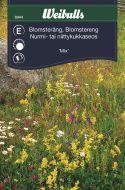 Weibulls Blomsterengblanding Mix