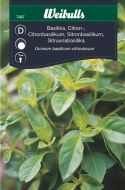 Weibulls Basilikum citron