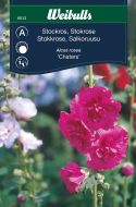 Weibulls Stokrose chaters Chaters