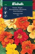 Weibulls Karse, blomsterkarse Mix