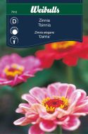 Weibulls Zinnia dahlia Dahlia