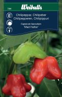 Weibulls Chili 'Mad hatter' Capsicum baccatum