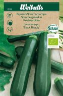 Weibulls Squash black beauty Black Beauty
