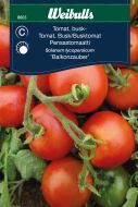 Weibulls Tomat, busk Balkonzauber Balkonzauber