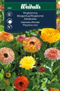 Weibulls Morgenfrue Playtime mix Playtime mix
