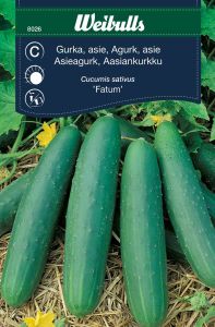 Weibulls Weibulls Gurka, asie- Fatum Fatum